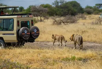 5 Days Tanzania Safari from Zanzibar