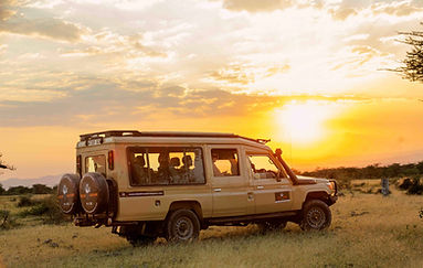 From airport pickups and domestic flights to safari vehicles and hotel transfers, every pa