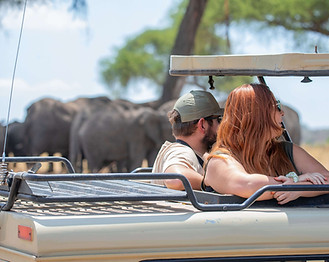 Safari en Tanzanie depuis Zanzibar