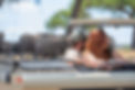 4 Day Tanzania Honeymoon Safari From Zanzibar