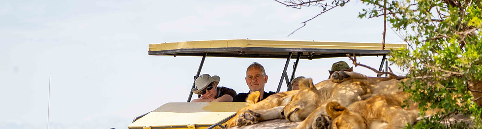 Safari de lujo premium de 6 días en Tanzania: 2026/27 Private Serengeti y Ngorongoro Elite