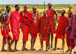 Best Tanzania Safari from Zanzibar 2025 – From Budget to Luxury