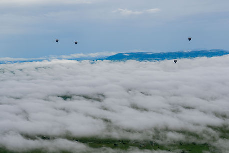Best 6 Day Serengeti Wildebeest Migration Safari From Zanzibar & Arusha