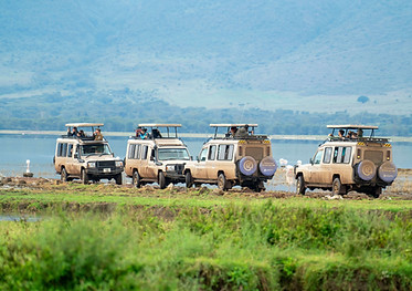 Goditi un safari semplice e senza stress di 5 giorni da Zanzibar con volo per Arusha, safa