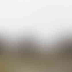 The Ultimate Tanzania Safari & Zanzibar Beach Guide (2026/27 Itinerary)