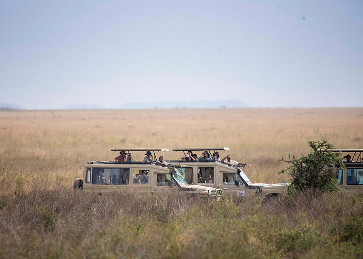 Safari de luxe de 3 jours en Tanzanie au départ de Zanzibar - combiné