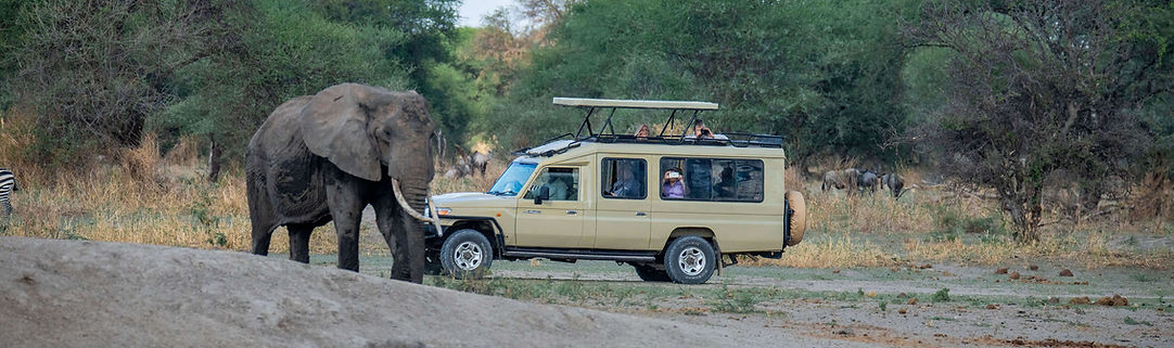 Itinéraire et coût du safari de 7 jours en Tanzanie