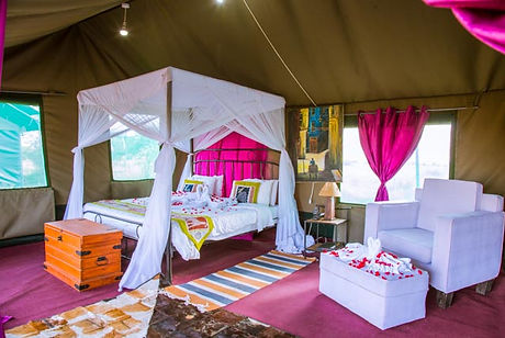 serengeti heritage safari from zanzibar