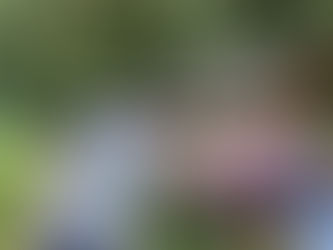 Mein Blick auf ein unvergessliches Nature Cooking Erlebnis