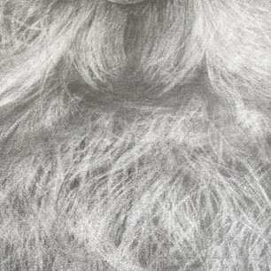 Eyes that tell a thousand stories, 2015