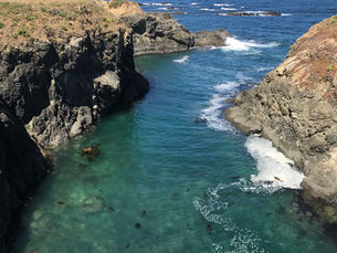 Slow Days on the Mendocino Coast