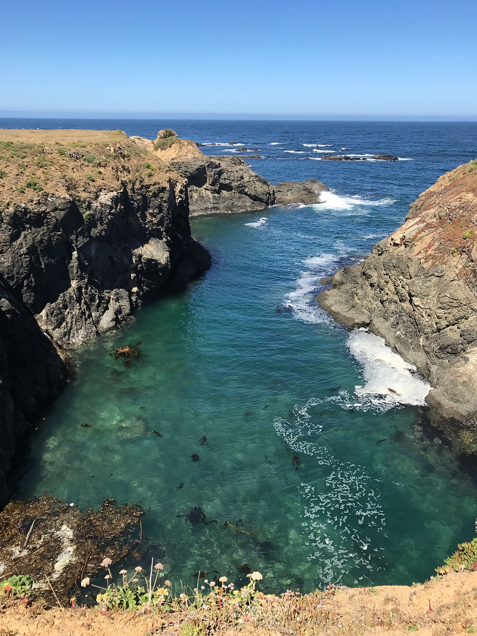 Slow Days on the Mendocino Coast