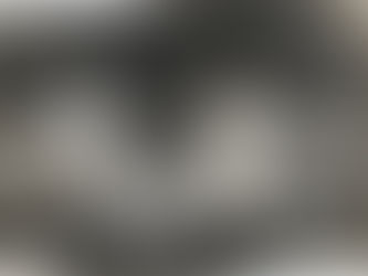 My Two Younger Brothers