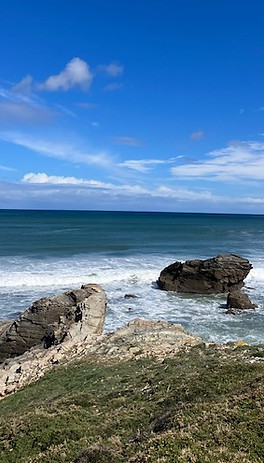 IMG_3663.jpg