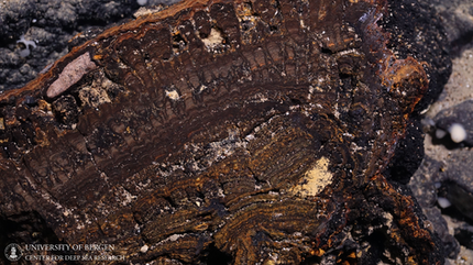 reddish rock at the bottom of the ocean