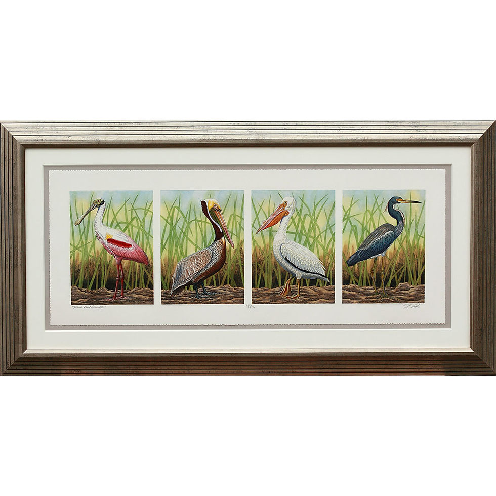 Thumbnail: "Florida Bird Series III"