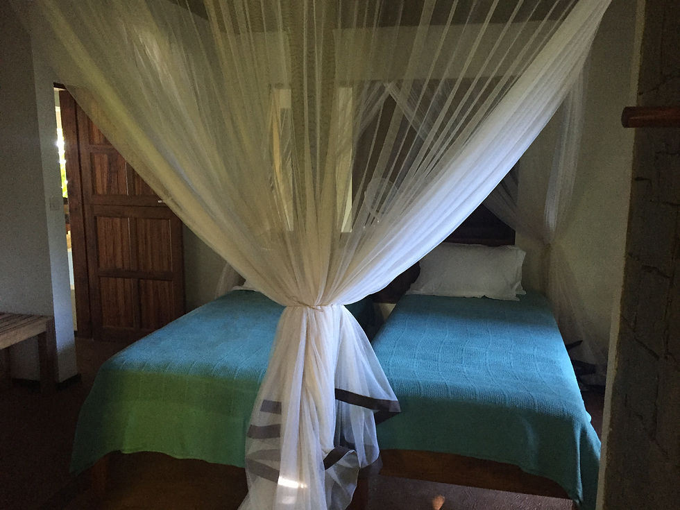 Twin beds