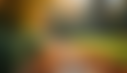 Autunno in giardino: cosa fare a ottobre per preparare la primavera