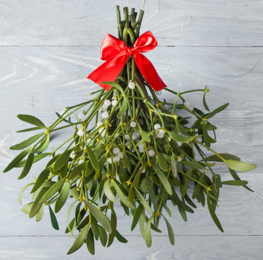 Miniatura: Confezione regalo vischio natale busta regali