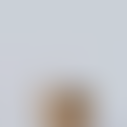 Green light to director to make a meal out of liquidators?