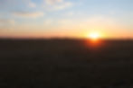Sunrise over field of wheat