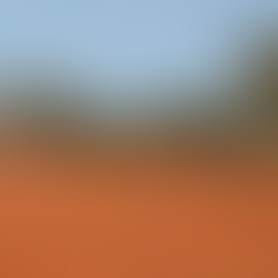 Unveiling the Past: Commonwealth’s Liability for Pre-1975 Native Title Extinguishments