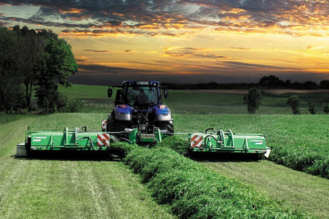 Samasz Cover Photo.jpg