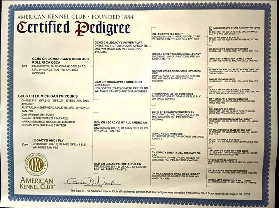 JJ Pedigree.jpg