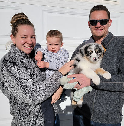 Champion Australian Shepherds producing companion and show puppies