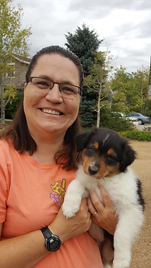 Genetic tested Australian Shepherd Breeder of puppies in Colorado