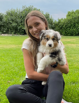 Champion Australian Shepherds producing companion and show puppies in Colorado