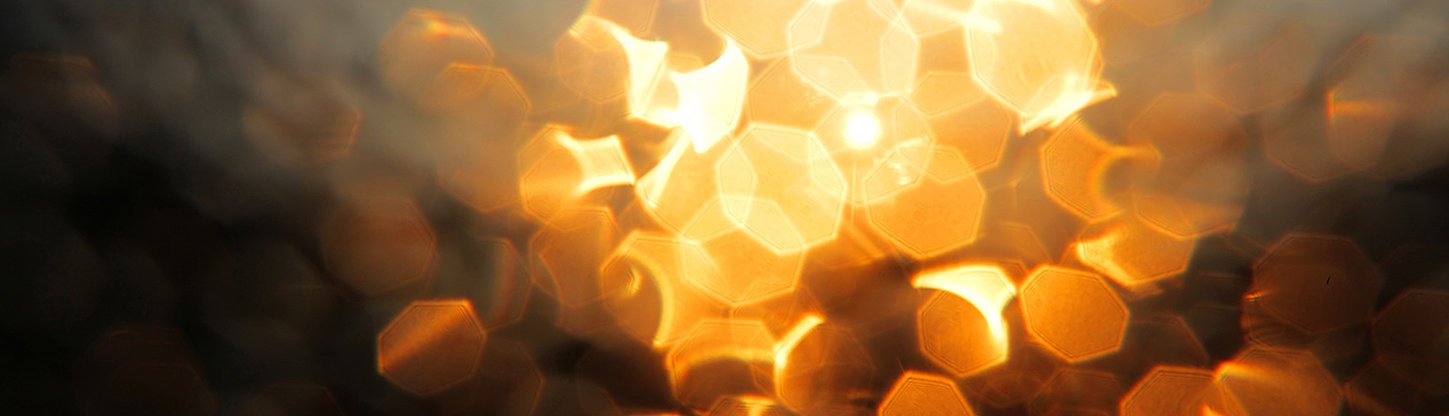 newjerusalemhog | About Us