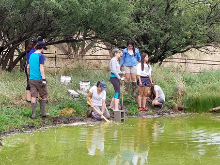 Educator Christine In-Albon Offers Unique Environmental Science Program