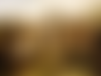 História da independência é contada em site do bicentenário