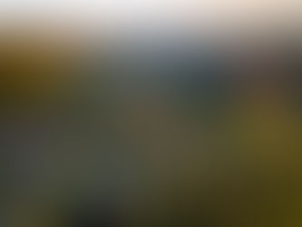 Tibagi celebra marca de 9 mil visitantes no Parque Guartelá