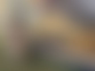 Artista faz intervenção com garrafas de vidro no Museu Oscar Niemeyer