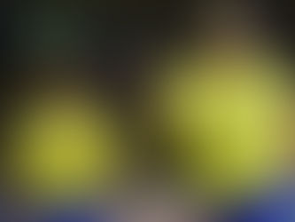 'Os Bastidores do Penta' registra a essência do futebol brasileiro