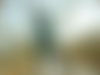 Cantor de PG lança música autoral