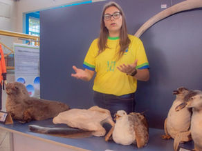 Departamento de Biologia promove exposição sobre vida na Antártica