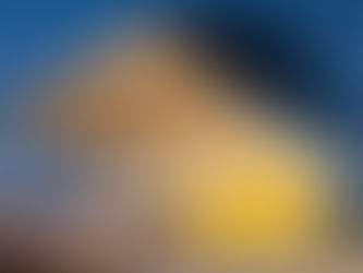 MON promove exposição individual com 131 obras de Leila Pugnaloni