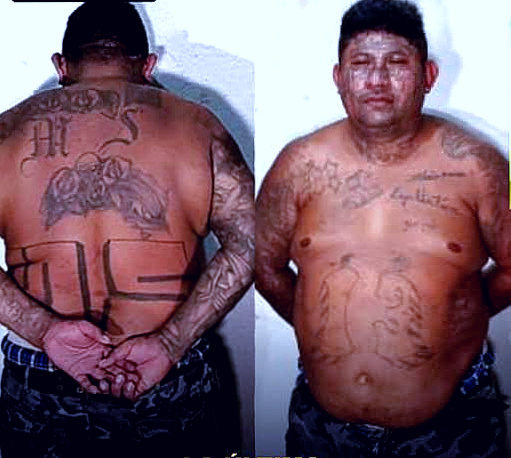 Cae "El Matata", cabecilla de la Mara 13 generación del "Porky" y "Cuervo"