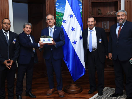 Productores piden ayuda para exportar aguacates hacia EE.UU y Europa