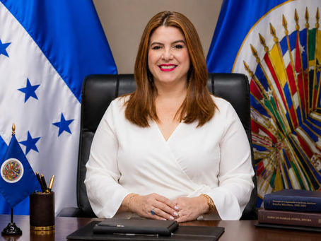 𝗖ossette 𝗟ópez asume como embajadora ante la OEA