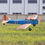 Miniatura: DW PT-19 (Foam & Plywood ARF Kit 0,90m) + Electric Pack (Motor+ESC+Servo)