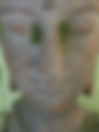 Buddha head.jpeg