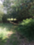 IMG_8659.jpeg