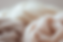 kokonok_Homepage_for_a_felting_academy_soft_and_elegant_editori_9ddd4b36-e1f9-452b-ac62-aa