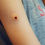 Thumbnail: Bullet Wound Prosthetic ZOMBIE 3 Piece Walking Dead F07