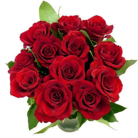 12 roses | Élysée fleurs