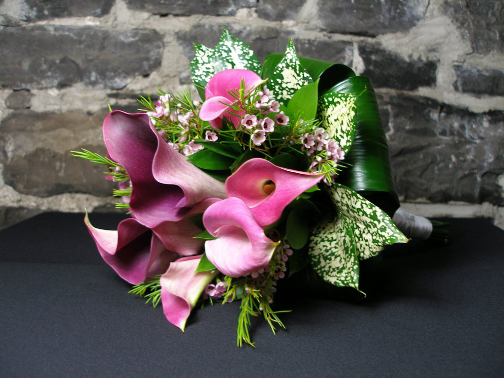 Élysée Fleurs, Fleuriste à Québec